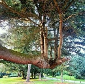 Meet your Posher, Virginia